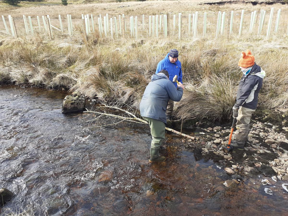 Improving habitats on the Upper Luce 