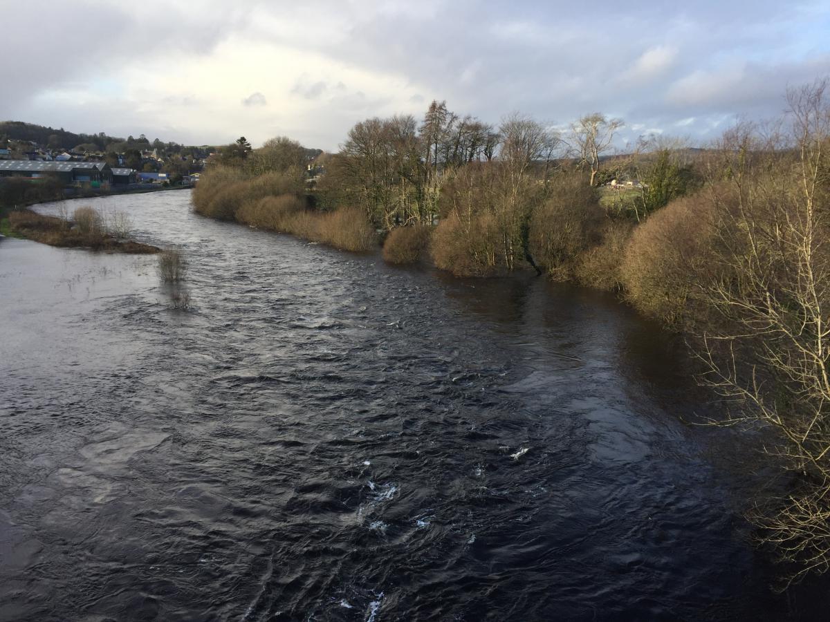 The height of the River Cree could delay or impede this years spawning event!