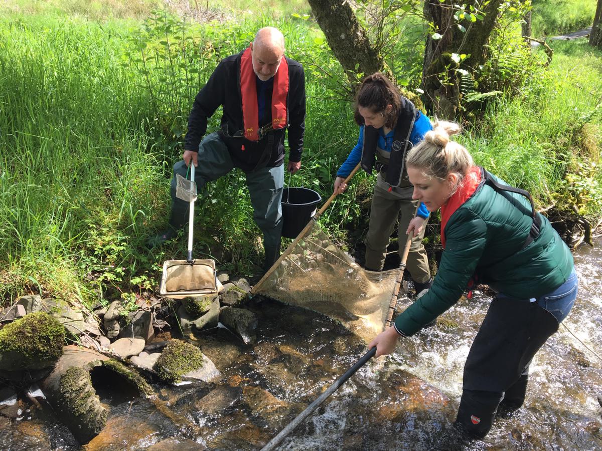 Trainees on an electrofishing course