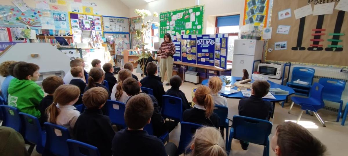 Delivering a school project