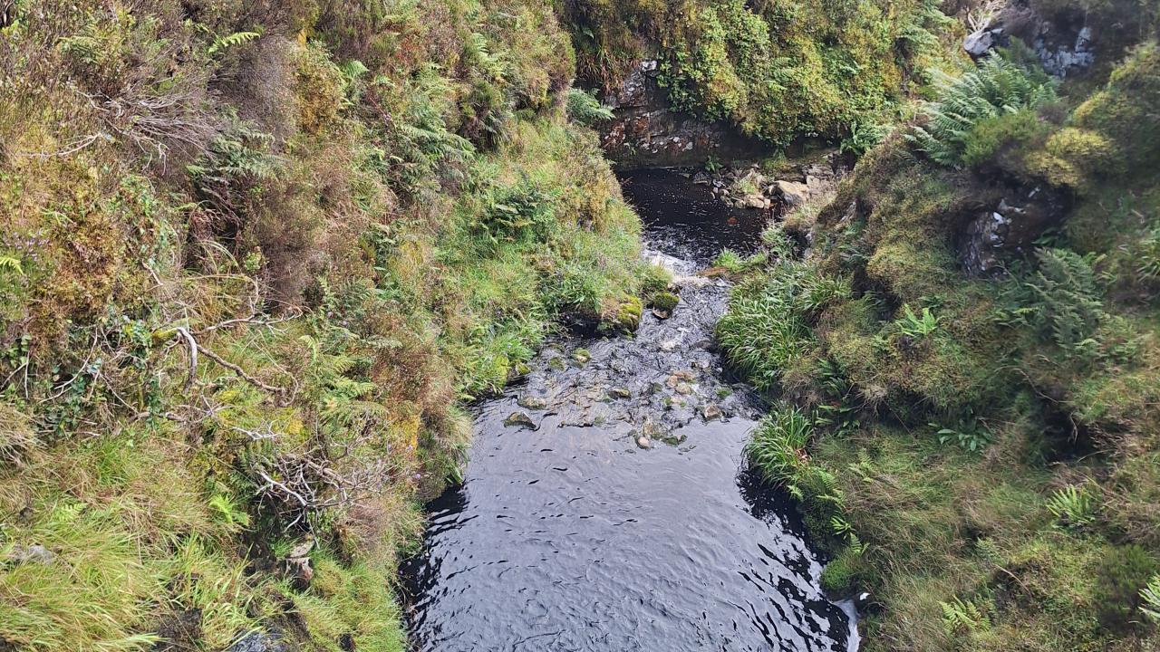 The upper Luce 