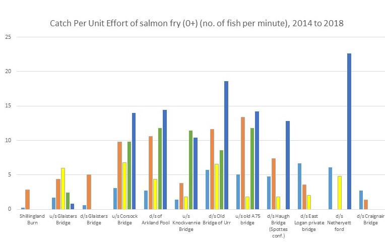 Catch per unit effort of salmon fry