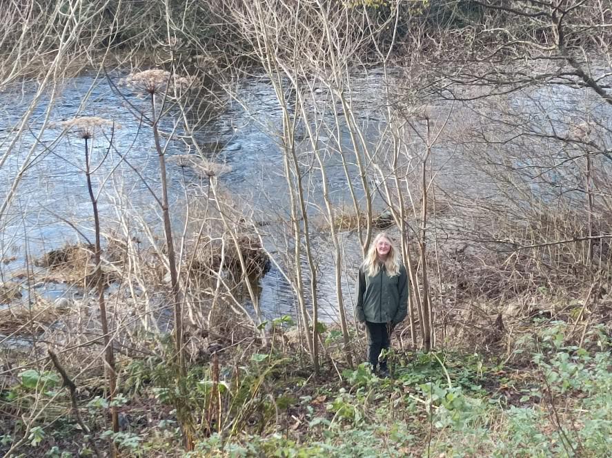 Alyx beside a Giant hogweed plant near Langholm