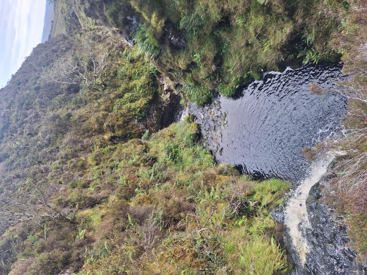 The upper Luce 