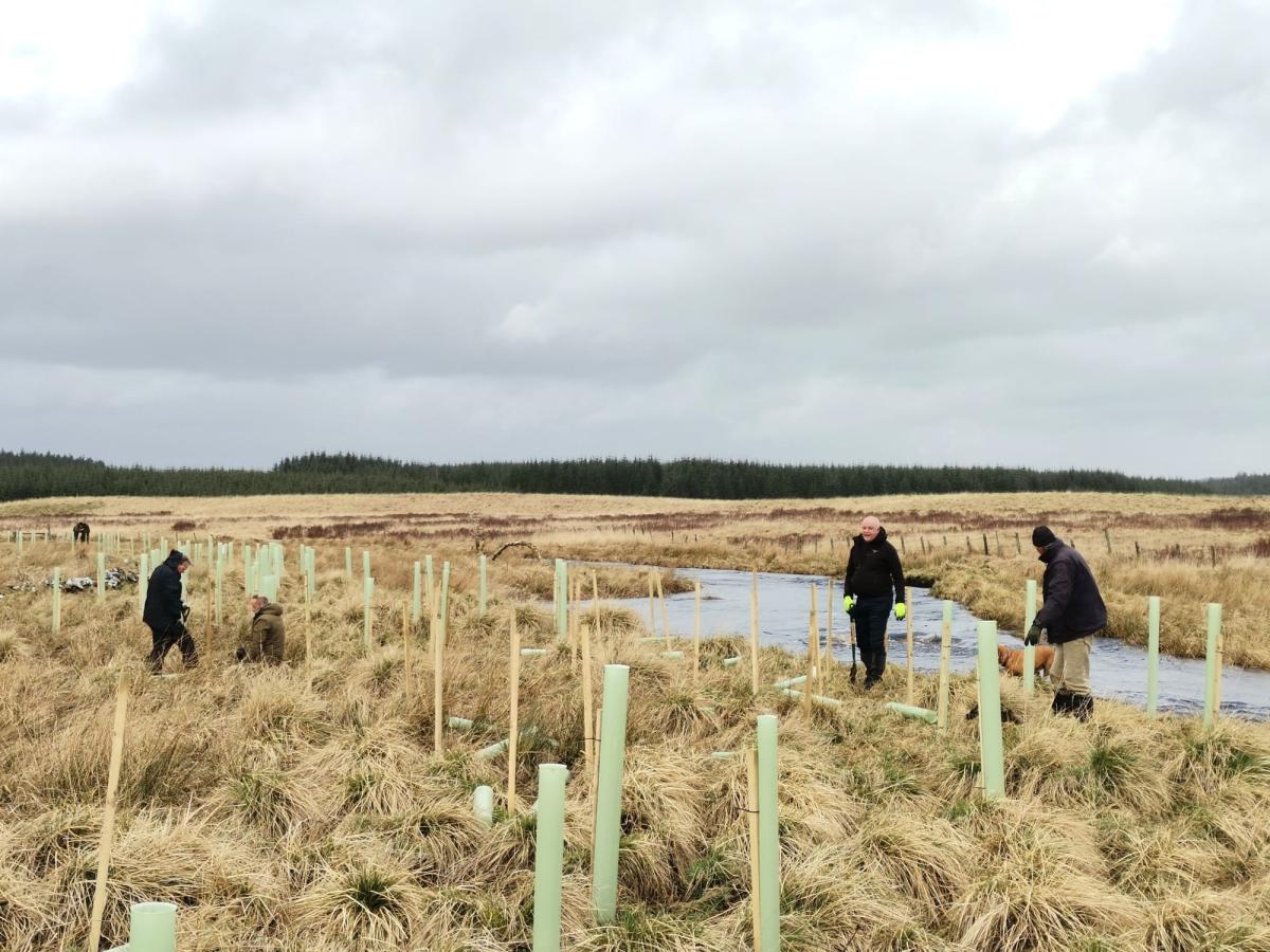 Creating new riparian woodlands